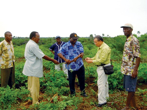 Vietnam willing to transfer rice cultivation techniques to African countries